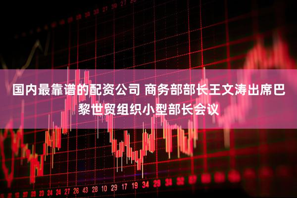 国内最靠谱的配资公司 商务部部长王文涛出席巴黎世贸组织小型部长会议