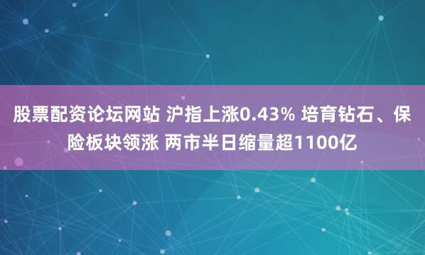 股票配资论坛网站 沪指上涨0.43% 培育钻石、保险板块领涨 两市半日缩量超1100亿