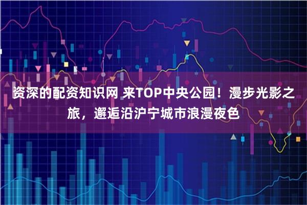 资深的配资知识网 来TOP中央公园！漫步光影之旅，邂逅沿沪宁城市浪漫夜色